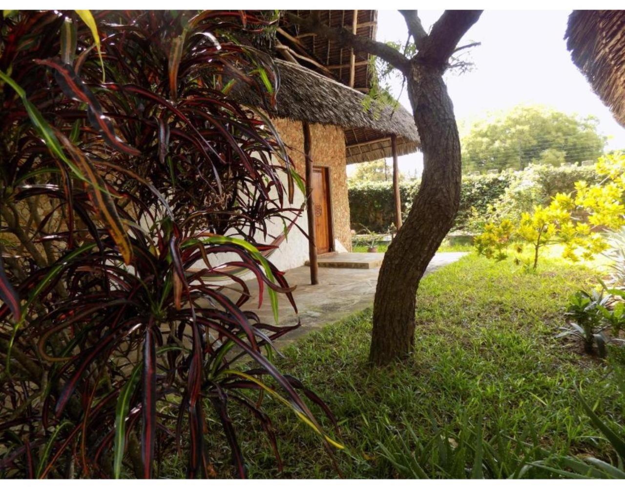 Eco Villas 瓦塔穆 外观 照片